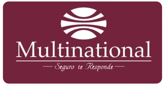 multinacional
